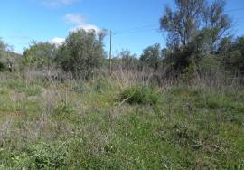 Flat plot of land with an area of ​​13,900 m² at the entrance to Loulé.
