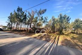 VIEIRA DE LEIRIA---Land with an area of 1240 m2, inserted in the urban agglomeration, in a quiet area of the village, with a use index of 1 ; feasibility of building between 4 and 5 villas. Contact us