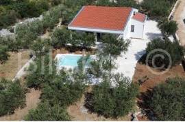 For Sale,Ground-floor House with Swimming Pool and Olive Grove, Plano