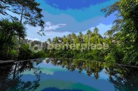 Sacred Jungle Retreat: A High-Yield Investment in the Heart of Ubud's Wellness Corridor