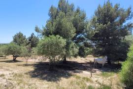 A Superb Property Nestled Amongst Olive Groves And Truffle Oaks, Offering 180 M2 Of Living Space Plus Two Gites.