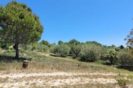 A Superb Property Nestled Amongst Olive Groves And Truffle Oaks, Offering 180 M2 Of Living Space Plus Two Gites.