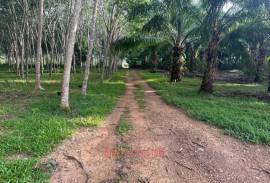 5-0-63 Rai Land Plot with Mountain Views for Sale in Ao Nang, Krabi - Ideal Investment Opportunity
