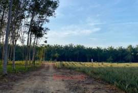 5-0-63 Rai Land Plot with Mountain Views for Sale in Ao Nang, Krabi - Ideal Investment Opportunity