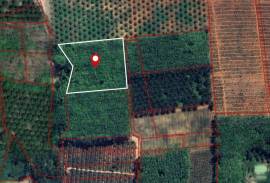 5-0-63 Rai Land Plot with Mountain Views for Sale in Ao Nang, Krabi - Ideal Investment Opportunity