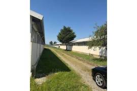 LIVESTOCK COMPLEX FOR SALE IN SHKODËR!!