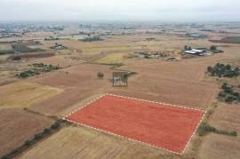 Agricultural Field in Avgorou