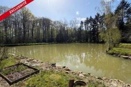 TERRAIN DE LOISIRS AVEC ETANG ET BOIS