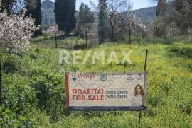 Plot 202 sq.m for sale Plot 202 sq.m for sale