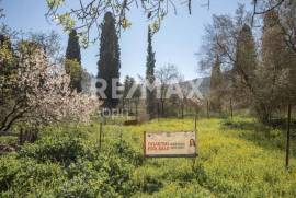 Plot 202 sq.m for sale Plot 202 sq.m for sale