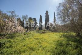 Plot 202 sq.m for sale Plot 202 sq.m for sale