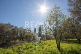 Plot 202 sq.m for sale Plot 202 sq.m for sale