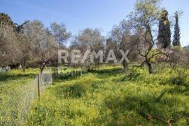 Plot 202 sq.m for sale Plot 202 sq.m for sale