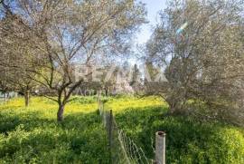 Plot 202 sq.m for sale Plot 202 sq.m for sale