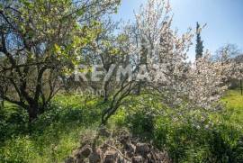 Plot 202 sq.m for sale Plot 202 sq.m for sale
