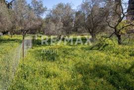 Plot 202 sq.m for sale Plot 202 sq.m for sale