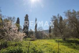 Plot 202 sq.m for sale Plot 202 sq.m for sale