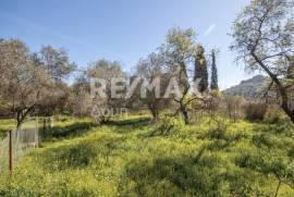 Plot 202 sq.m for sale Plot 202 sq.m for sale