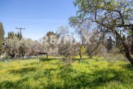Plot 202 sq.m for sale Plot 202 sq.m for sale