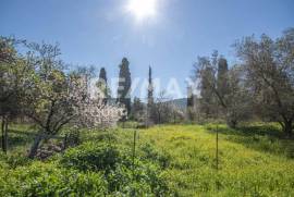 Plot 202 sq.m for sale Plot 202 sq.m for sale