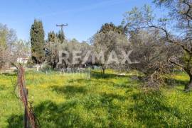 Plot 202 sq.m for sale Plot 202 sq.m for sale