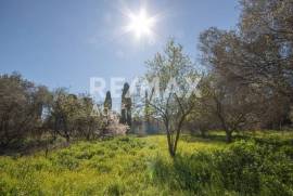 Plot 202 sq.m for sale Plot 202 sq.m for sale