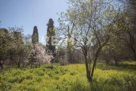 Plot 202 sq.m for sale Plot 202 sq.m for sale