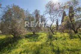 Plot 202 sq.m for sale Plot 202 sq.m for sale