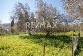 Plot 202 sq.m for sale Plot 202 sq.m for sale