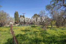 Plot 202 sq.m for sale Plot 202 sq.m for sale