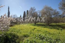 Plot 202 sq.m for sale Plot 202 sq.m for sale