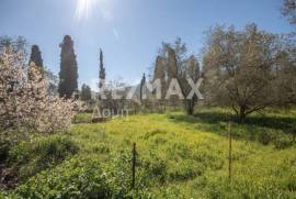 Plot 202 sq.m for sale Plot 202 sq.m for sale