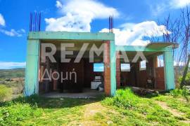 House 240 sq.m for sale