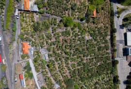 Land with Construction Potential of 238 m² | 1,134 m² Total Area Land with Construction Potential of 238 m² | 1,134 m² Total Area