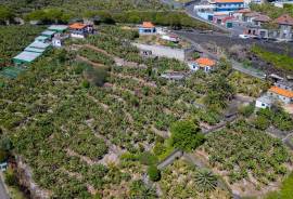Land with Construction Potential of 238 m² | 1,134 m² Total Area Land with Construction Potential of 238 m² | 1,134 m² Total Area