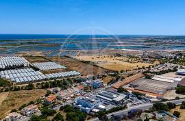 Exceptional 2 Bedroom Tavira Apartment with large terrace and private pool Exceptional 2 Bedroom Tavira Apartment with large terrace and private pool