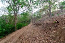 Excellent Plot of land for sale in Gravel Bay Roatan Honduras Excellent Plot of land for sale in Gravel Bay Roatan Honduras
