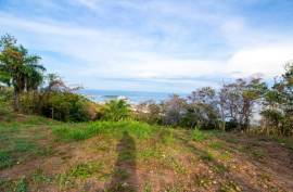Excellent Plot of land for sale in Gravel Bay Roatan Honduras Excellent Plot of land for sale in Gravel Bay Roatan Honduras