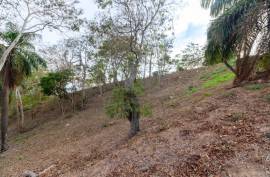 Excellent Plot of land for sale in Gravel Bay Roatan Honduras Excellent Plot of land for sale in Gravel Bay Roatan Honduras