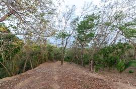 Excellent Plot of land for sale in Gravel Bay Roatan Honduras Excellent Plot of land for sale in Gravel Bay Roatan Honduras