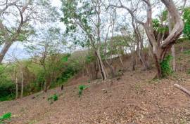 Excellent Plot of land for sale in Gravel Bay Roatan Honduras Excellent Plot of land for sale in Gravel Bay Roatan Honduras
