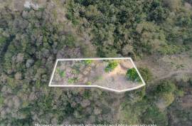 Excellent Plot of land for sale in Gravel Bay Roatan Honduras Excellent Plot of land for sale in Gravel Bay Roatan Honduras