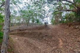 Excellent Plot of land for sale in Gravel Bay Roatan Honduras Excellent Plot of land for sale in Gravel Bay Roatan Honduras