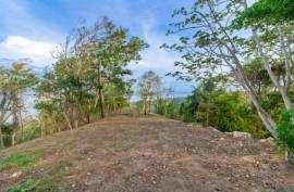 Excellent Plot of land for sale in Gravel Bay Roatan Honduras Excellent Plot of land for sale in Gravel Bay Roatan Honduras