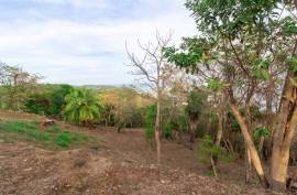 Excellent Plot of land for sale in Gravel Bay Roatan Honduras Excellent Plot of land for sale in Gravel Bay Roatan Honduras