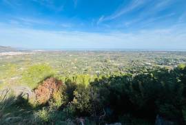 listing listing