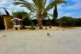 listing listing