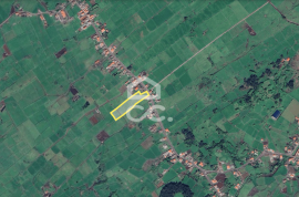 Land in the Parish of Cinco Ribeiras Land in the Parish of Cinco Ribeiras