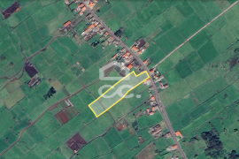 Land in the Parish of Cinco Ribeiras Land in the Parish of Cinco Ribeiras