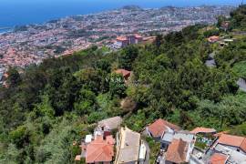2,160 m² Rustic Land in Monte – Perfect for Agriculture and Sustainable Projects 2,160 m² Rustic Land in Monte – Perfect for Agriculture and Sustainable Projects